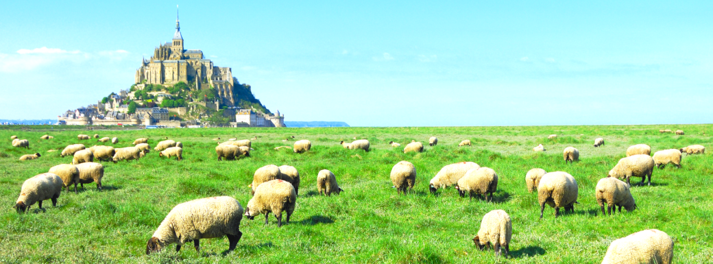 BRE140326 | Weekend Erasmus en Normandie/Bretagne