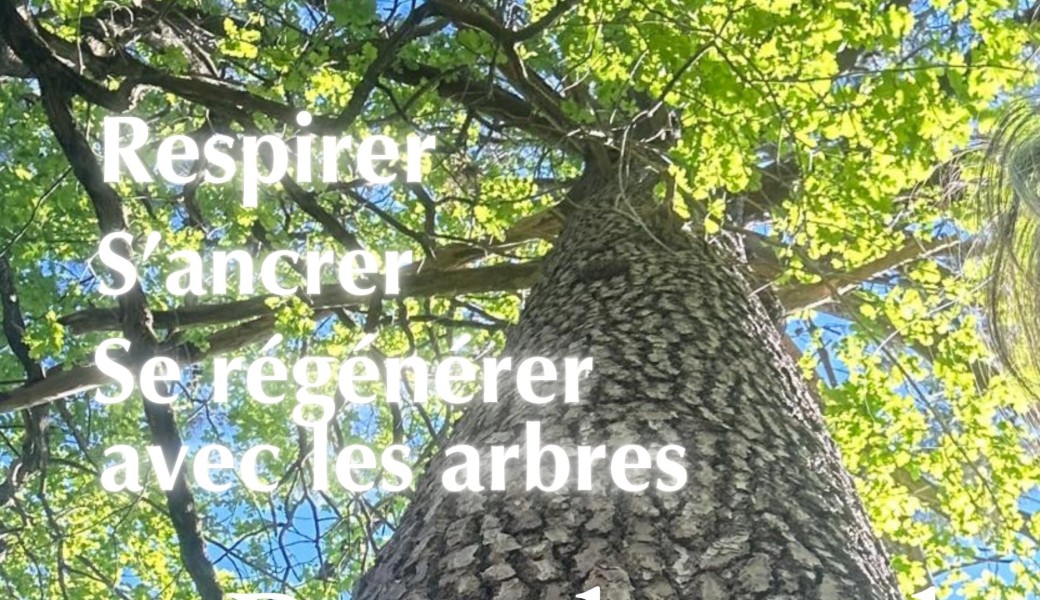 Breathwork Respire avec les arbres