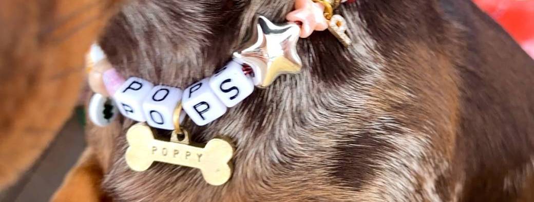 BRING YOUR DOG x CHARMS WORKSHOP 