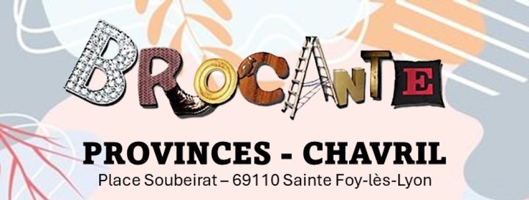 Brocante Vide-Greniers Provinces/Chavril