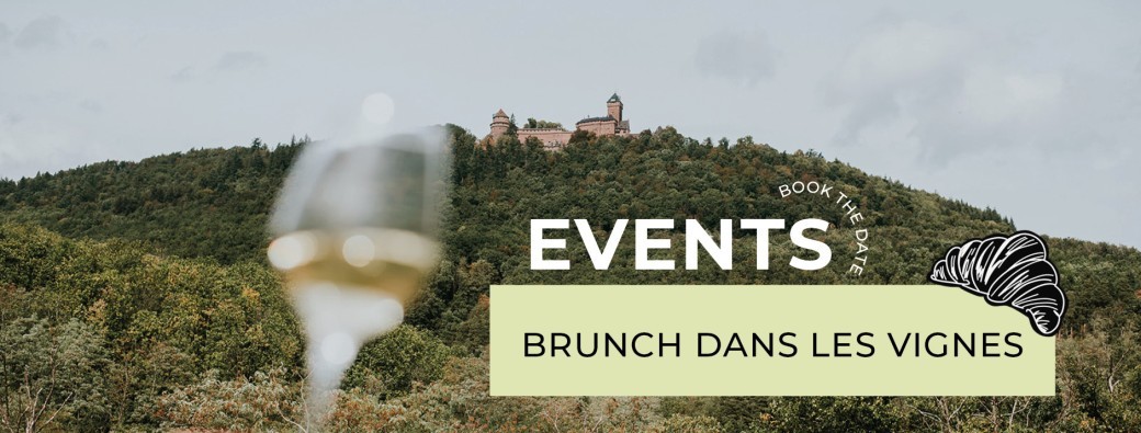 Brunch dans les vignes - Domaine Sainte Joie