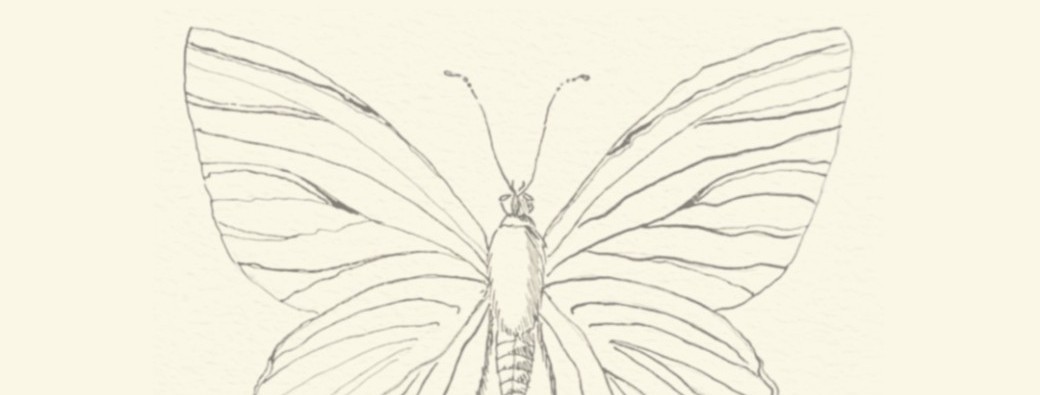 Brunch des Créateurs - Atelier Encre de chine 