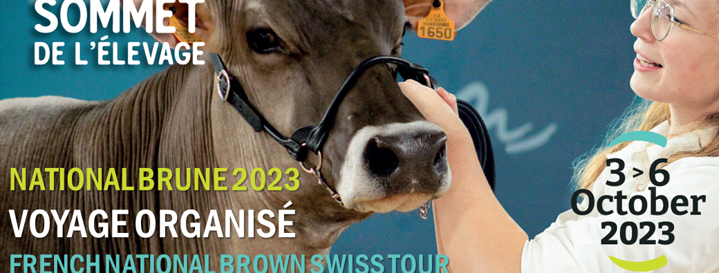 BROWN SWISS TOUR, SOMMET DE L’ELEVAGE