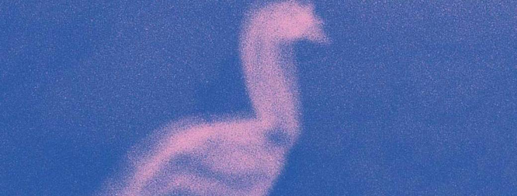 PASS Brut de Douceur