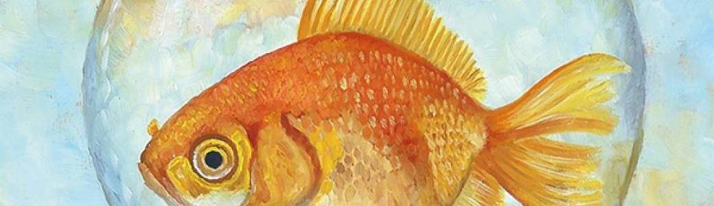 BUBULLE, LE POISSON VOLANT