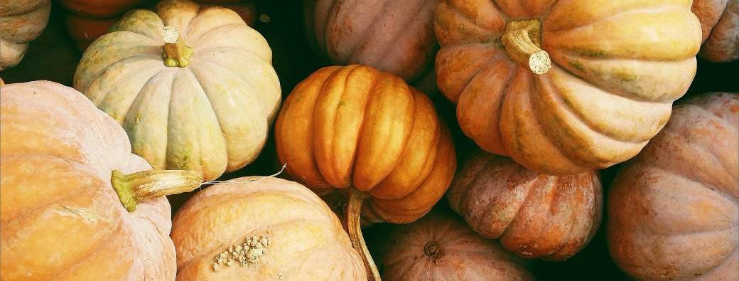Bulle Cosy Autumn