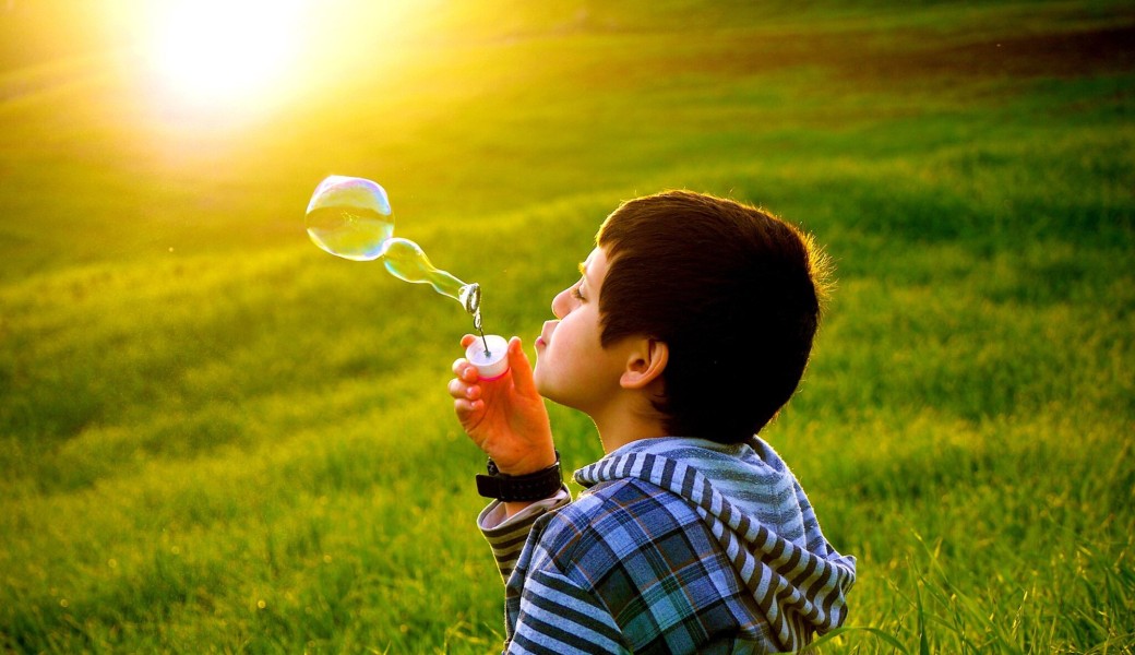 Bulle des ami.e.s de la transition écologique et sociale