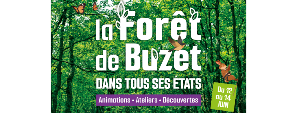Navette Bus - Samedi 13 juin /// Forêt de Buzet dans tous ses états