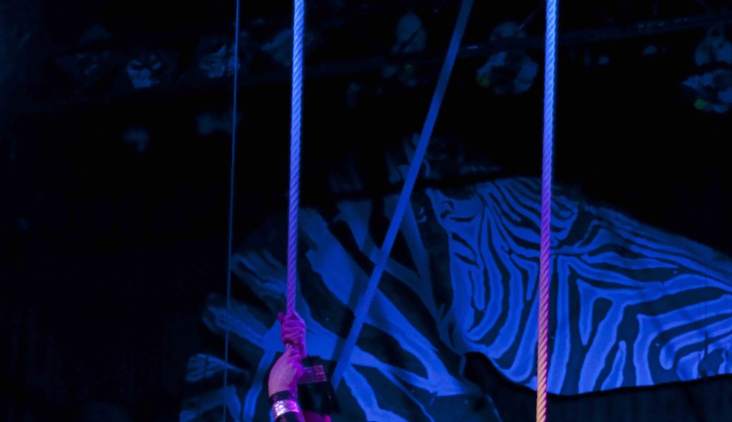 Cabaret cirque spécial St Sylvestre