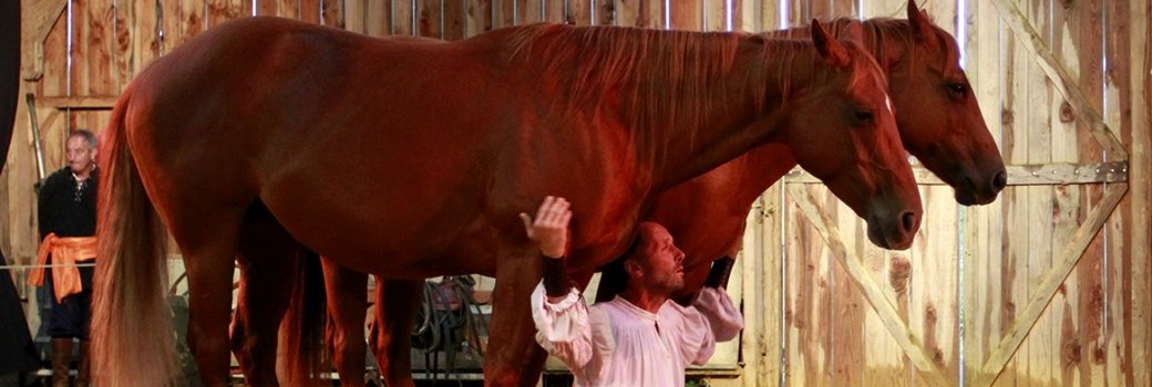 Cabaret Equestre // Arnaud Ranch et Spectacles