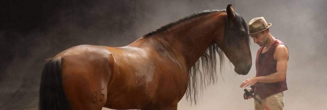 Cabaret Équestre Dromençal 2026