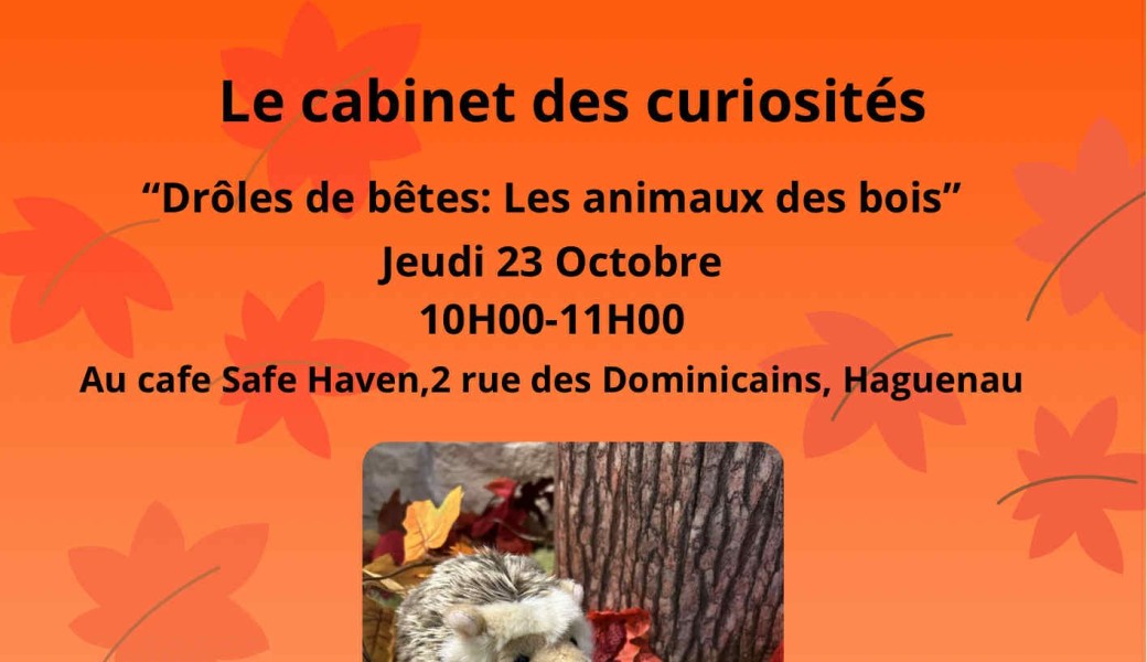 Cabinet des curiosités: les animaux des bois 