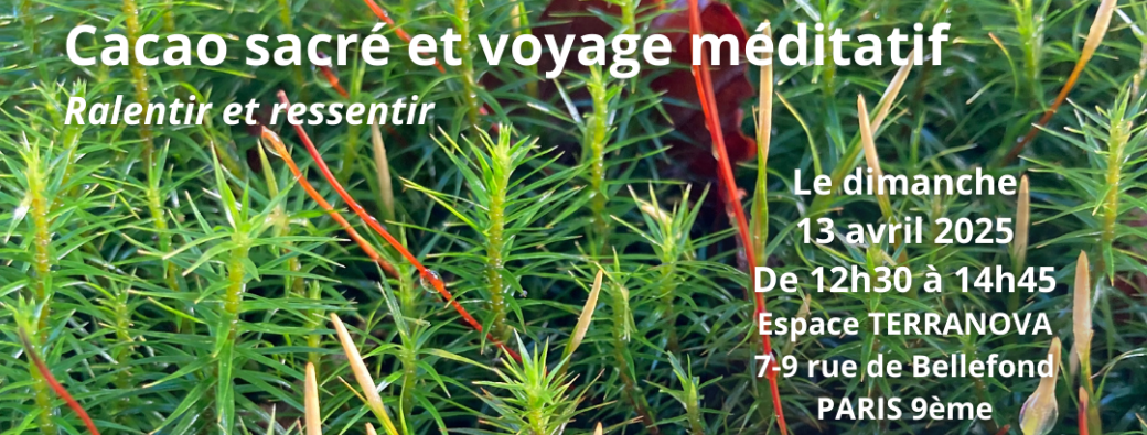 Cacao sacré et voyage méditatif - 13 avril 2025