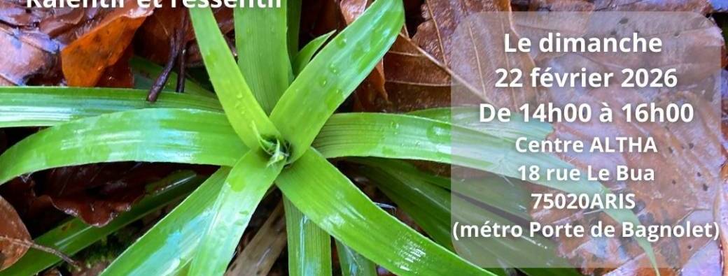 Cacao sacré et voyage méditatif - 22 février 2026