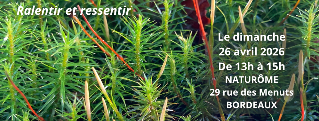 Cacao sacré et voyage méditatif - 26 avril 2026