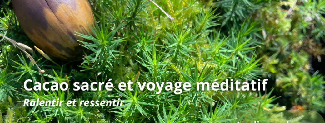 Cacao sacré et voyage méditatif - 23 février 2025
