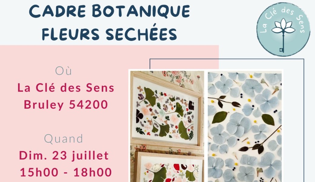 Cadre botanique fleurs séchées