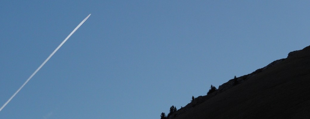 Café collaps : le rapport Meadows