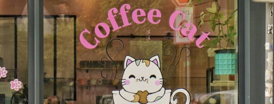 Café Langue : Coffee Cat