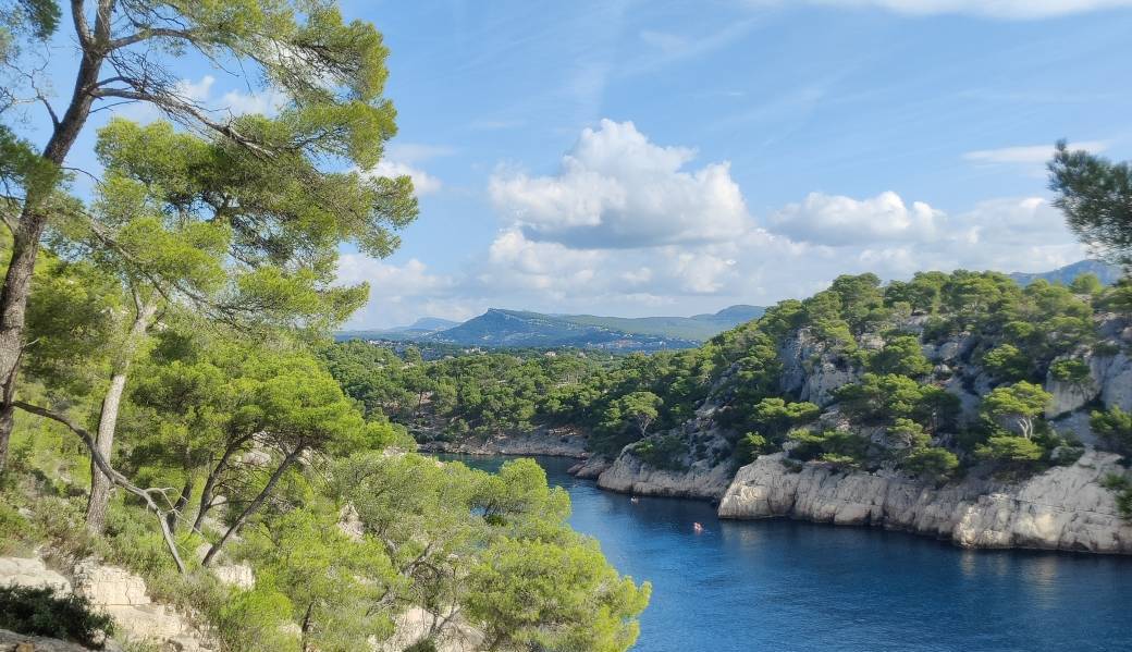 Calanque et Patrimoine : Histoire de la pierre de Cassis à Port-Miou