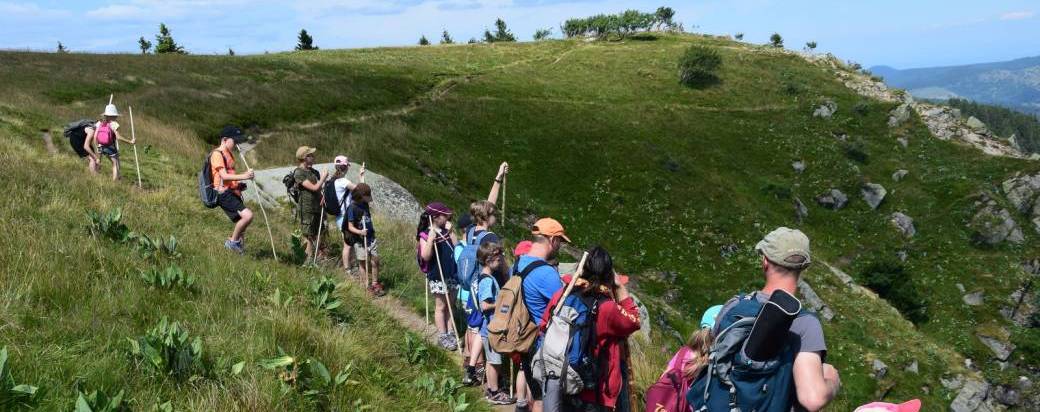 Camp nature d'été (8-12 ans) dans les Vosges