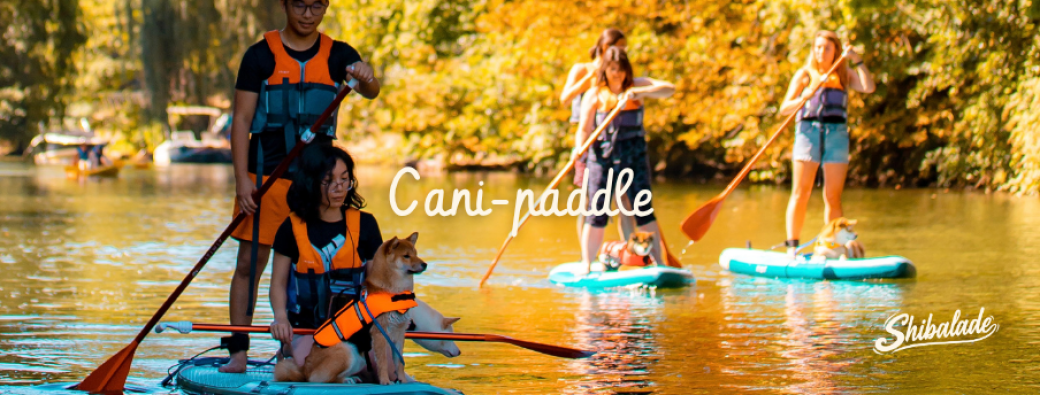 Cani-paddle