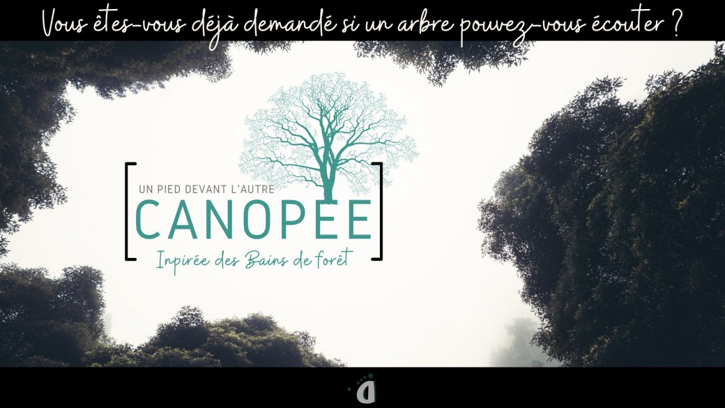 Canopée