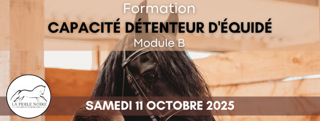Capacité détenteur d'équidé - Module B