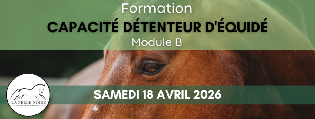 Capacité détenteur d'équidé - Module B