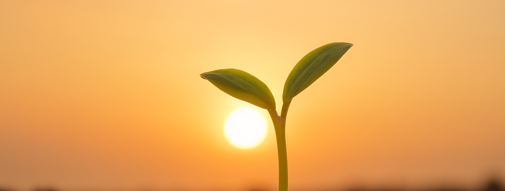 Capsule bien-être Eclore