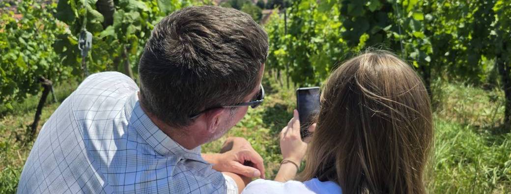 Capturer les plus beaux paysages en Mossig et Vignoble 