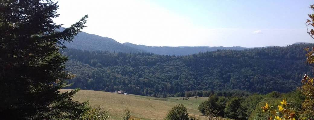 Caravane du Pardon des Vosges