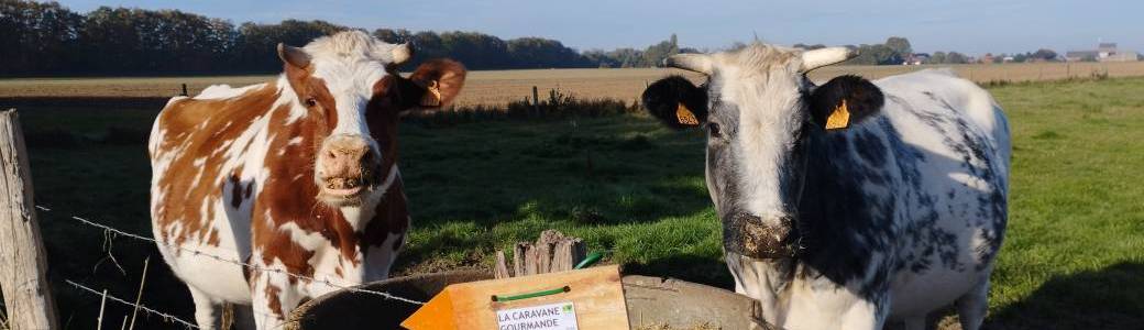 Caravane Gourmande de l'Agriculture Sociale 2025