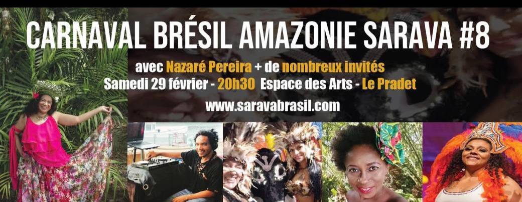 Carnaval Brésil #8