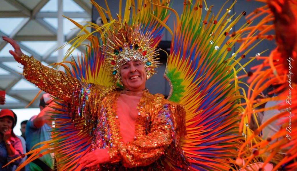 Carnaval Brésil Sarava 