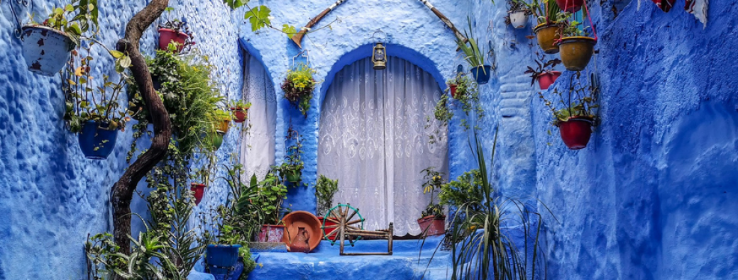 Carnet de voyage et modèle vivant au Maroc