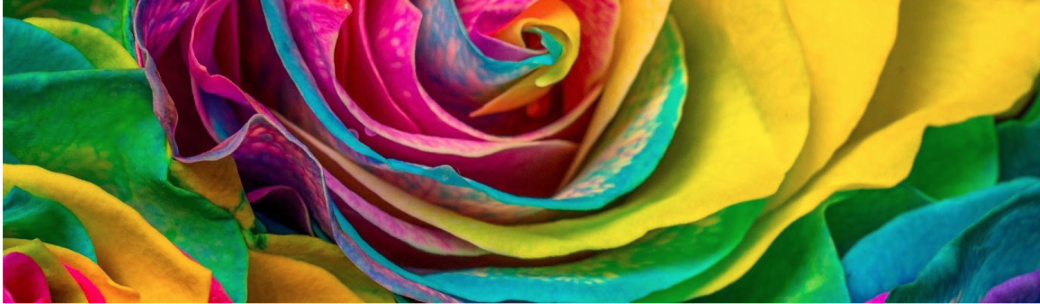 Carte 6 Ateliers DANSE 2026