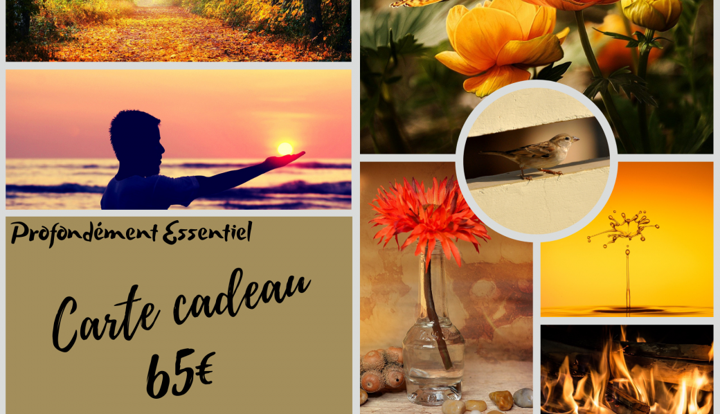 Carte Cadeau 65 euros 1ère séance aroma