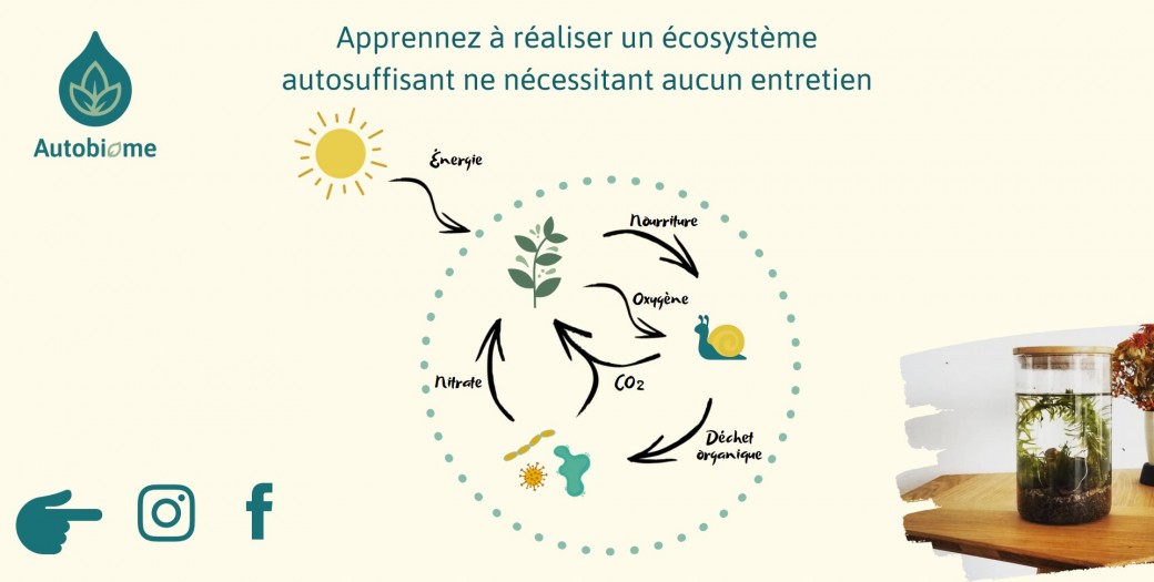 Carte cadeau