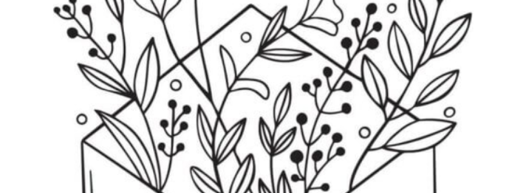 CARTE CADEAU Plantes: Sortie, atelier ou stage.                         Offre spéciale fin d'année