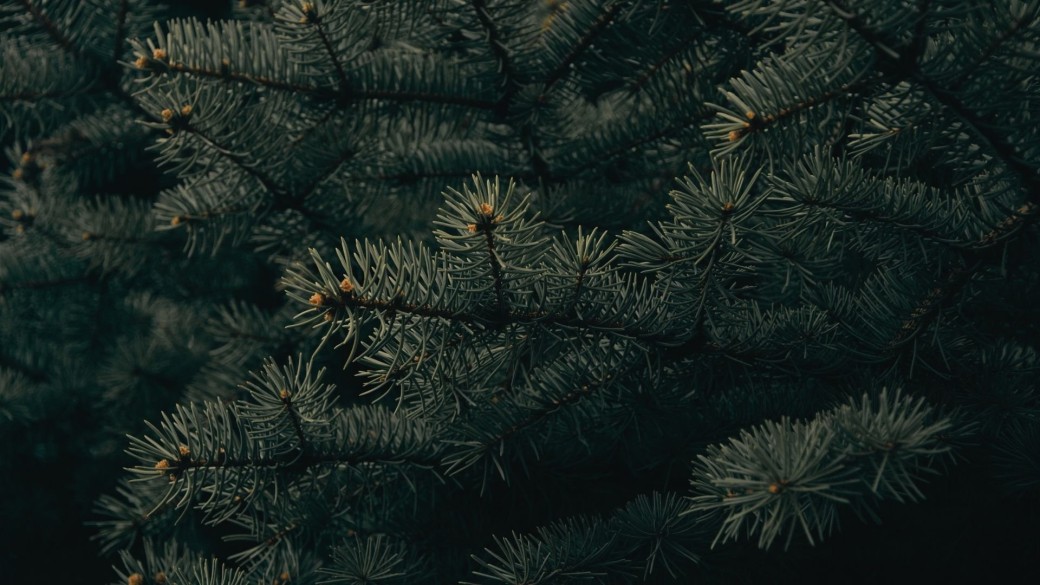 Carte Parcours Commando - 5 Sessions 