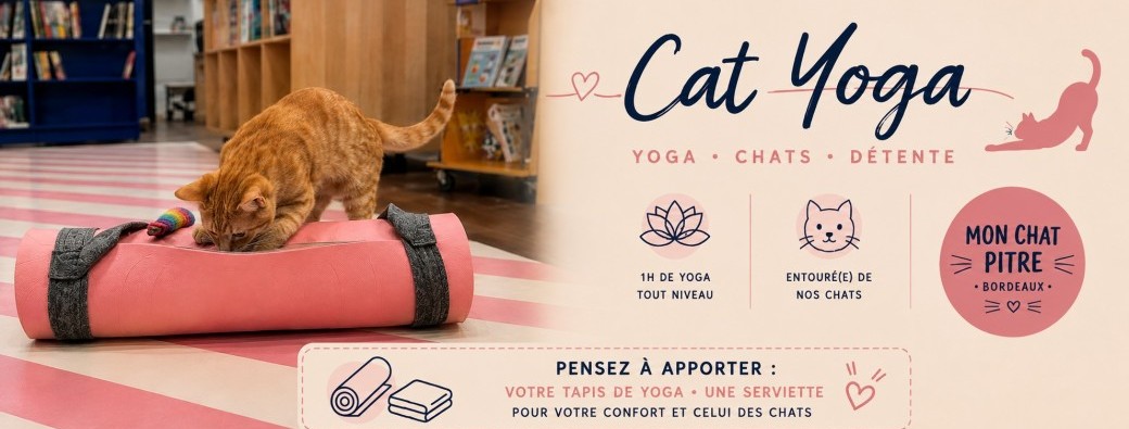 CAT YOGA 14 Septembre 2026