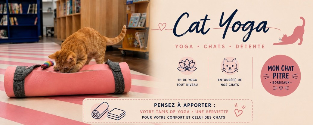 CAT YOGA Lundi 28 septembre 2026