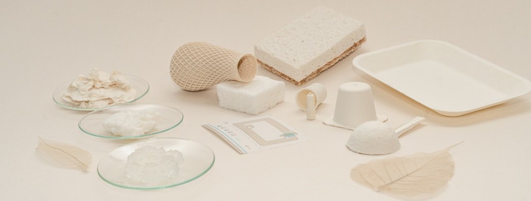 Cellulose International Summit