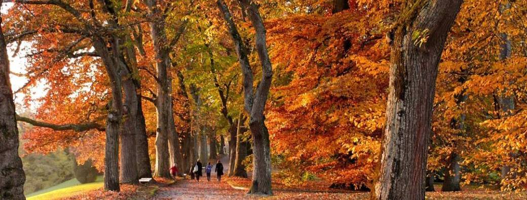 Cercle de Breathwork "Respire & Sens Au delà des limites ©" 