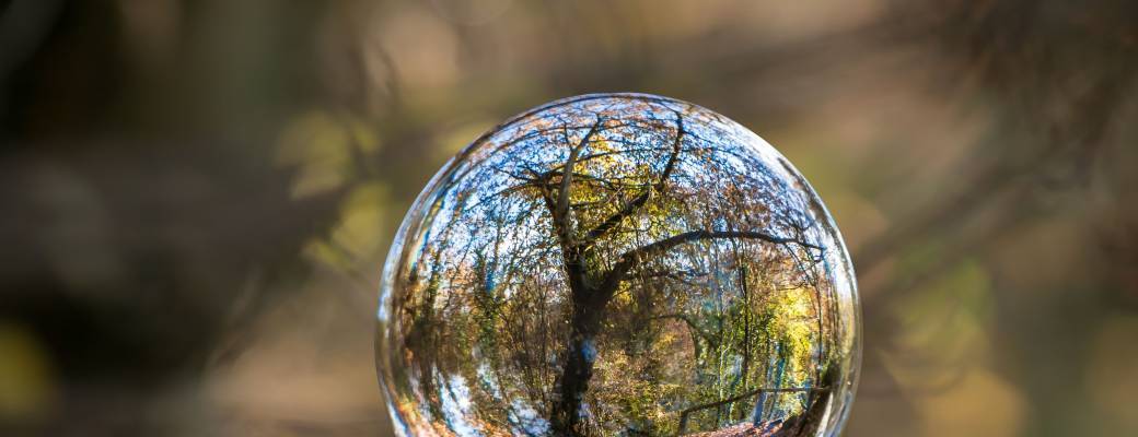 CERCLE DE GRATITUDE