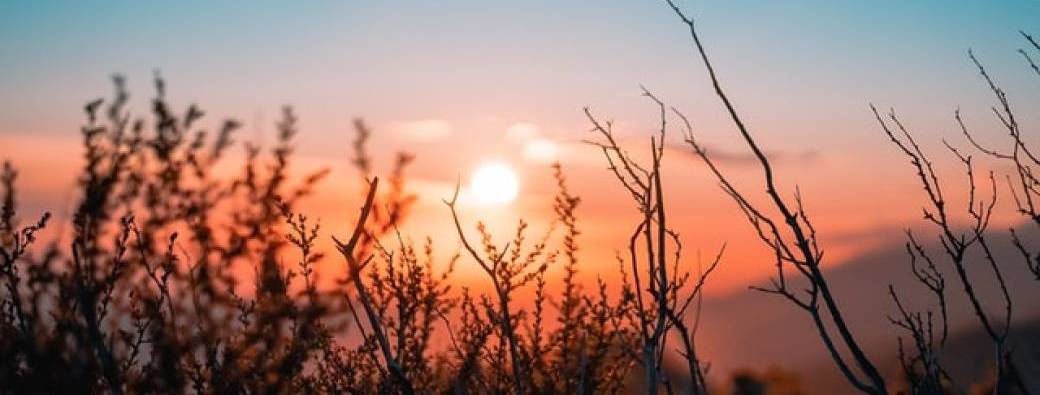 Cercle de méditation olfactive pour célébrer le Solstice d'été