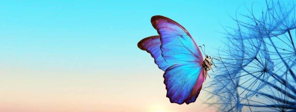 Cercle de méditation du Printemps à Cadenet 