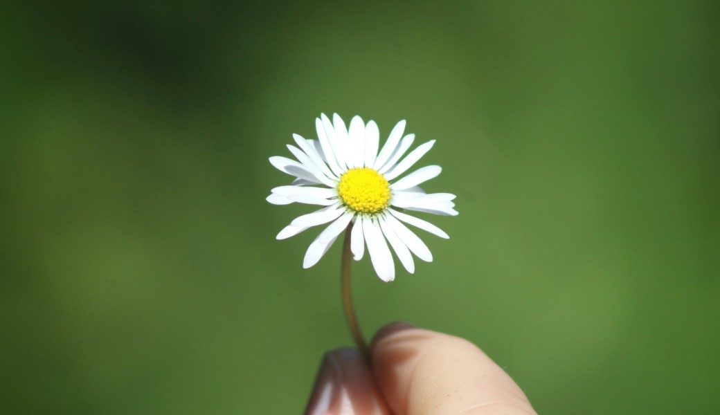Cercle en ligne : Amour de soi