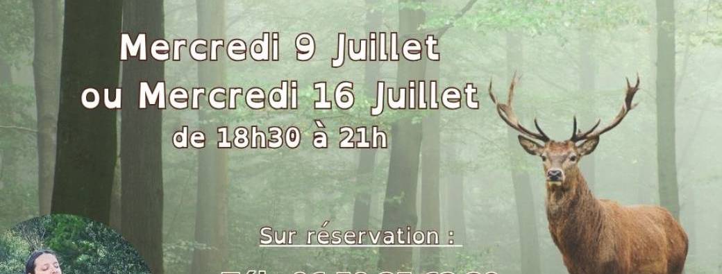 Cercle initiatique - La Médecine du Cerf